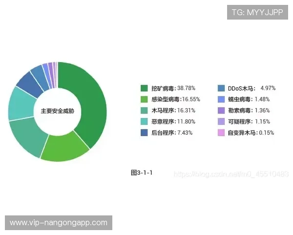 巴西对摩洛哥比赛观赛注意事项及现场安全指南详解